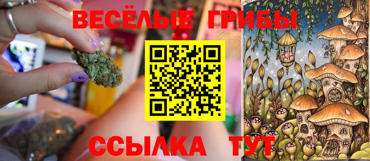 Псилоцибиновые грибы MAGIC MUSHROOMS Златоуст