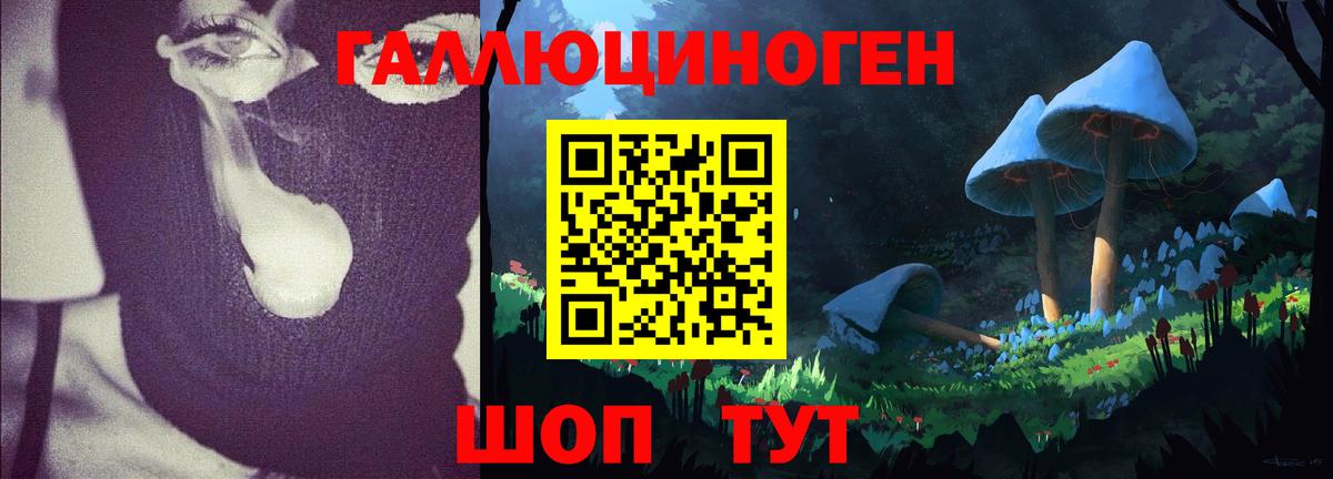 Златоуст  Псилоцибиновые грибы MAGIC MUSHROOMS  Вход с VPN 